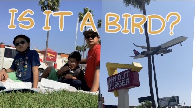 IN-N-OUT; LAX Aiport